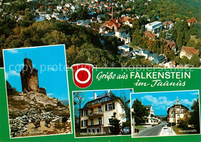 Falkenstein Taunus Panorama Hauptstrasse Burg Steinwild Haus Falkenstein