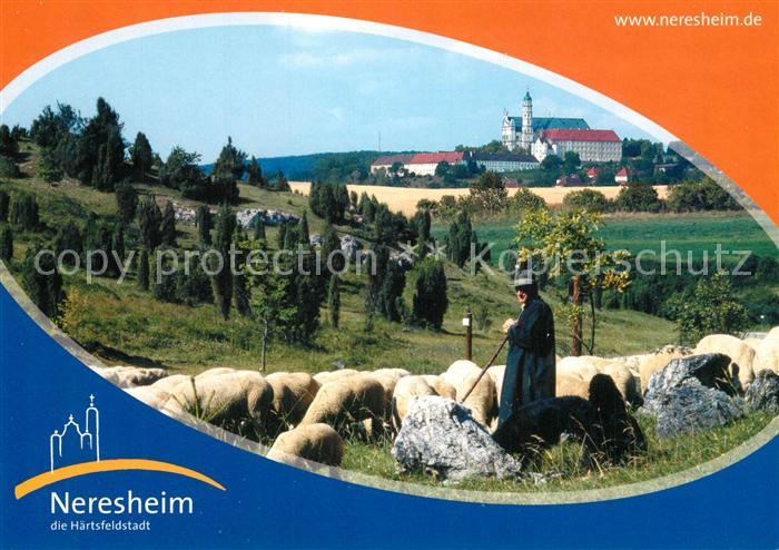 Neresheim Haertsfeld Schafherde Hirte
