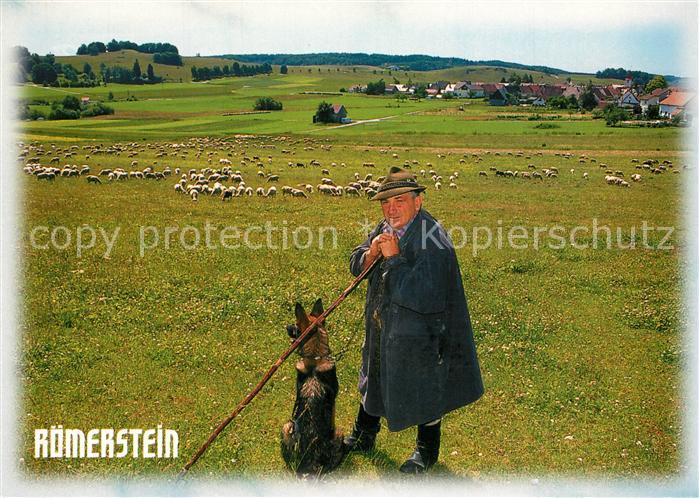 Roemerstein Schafherde Hirt Hirtenhund
