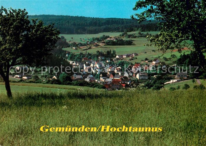 Gemuenden Taunus Panorama