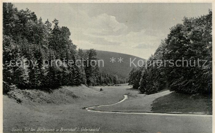 Bremhof Odenwald Geiers-Tal Vielbrunn Bremhof