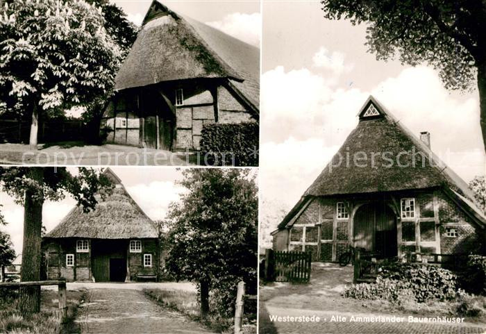 Westerstede Alte Ammerlaender Bauernhaeuser
