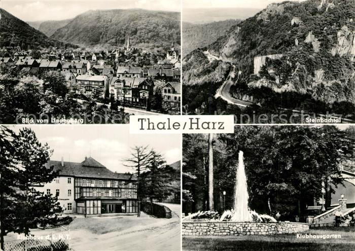 Thale Harz Lindenberg Steinbachtal Klubhaus Klubhausgarten