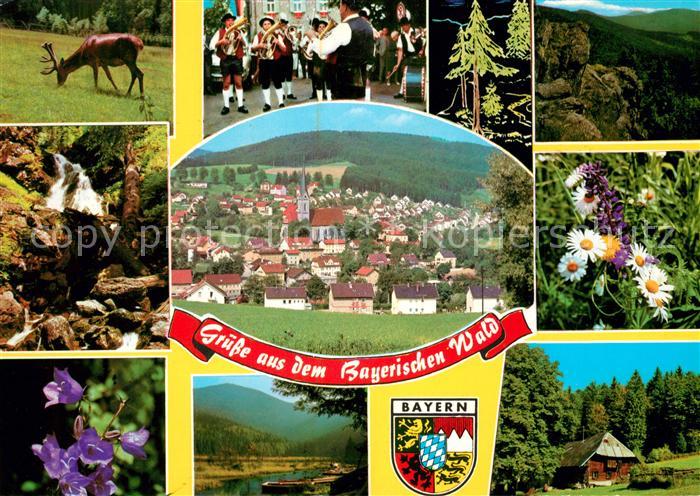 Teisnach Musikkapelle Panorama