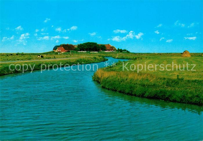 Hallig Hooge Backenswerft Priel