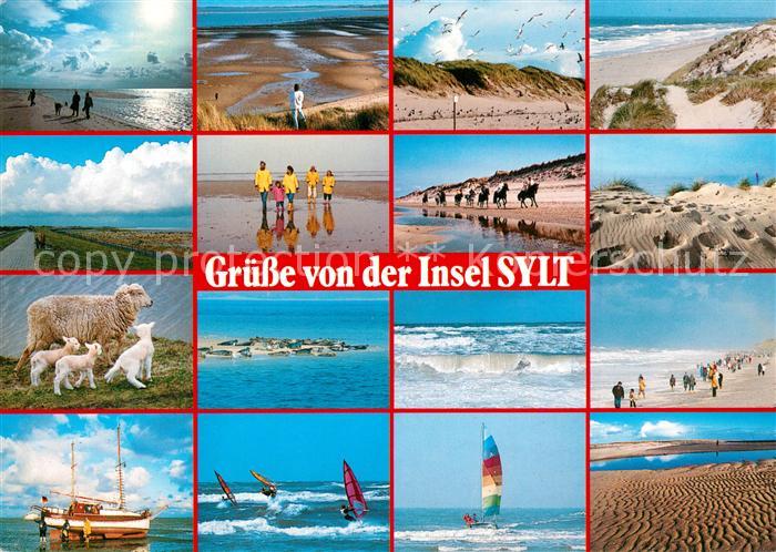 Insel Sylt Strand Duenen Schafe Pferde Wattwanderer