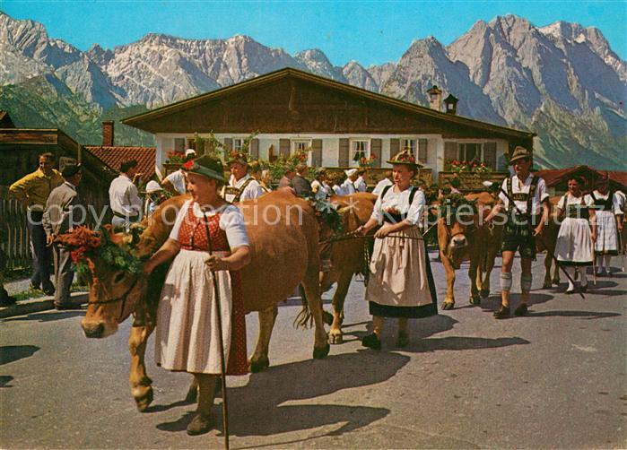 GARMISCH-PARTENKIRCHEN Bayern Almabtrieb Kuehe Tracht Zugspitze