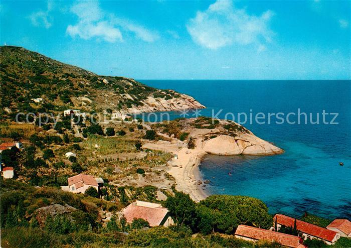 Isola del Giglio Arenella