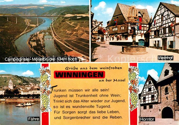 Winningen Mosel Fliegeraufnahme Campinginsel Moselbruecke Weinhot Horntor Faehre