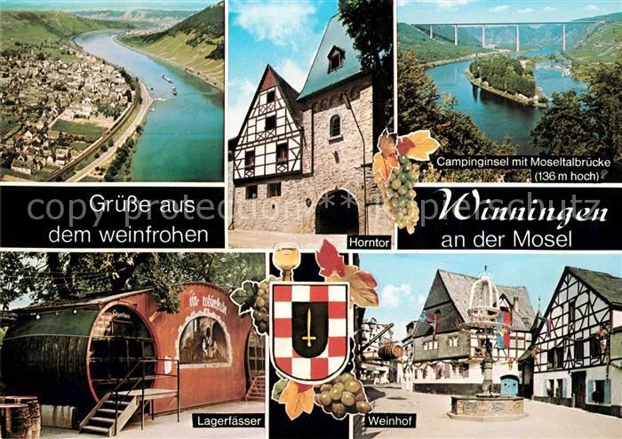 Winningen Mosel Fliegeraufnahme Campinginsel Moselbruecke Lagerfaesser Weinhof