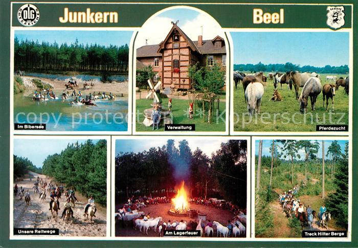 Lathen Ems Hilter Bibersee Pferde Reitweg Treck Hilter Berge