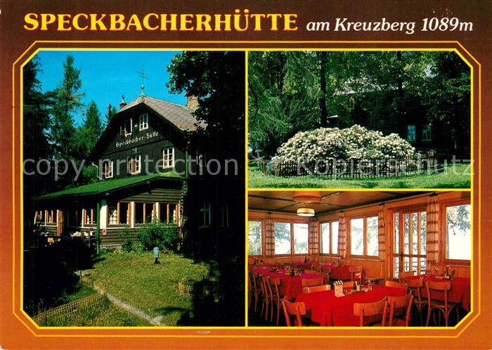 Breitenstein Niederoesterreich Speckbacherhuette 90jaehriger Rhododendron