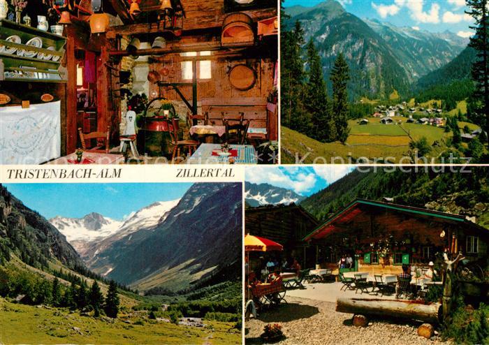 Zillertal Tirol Tristenbach Alm Panorama