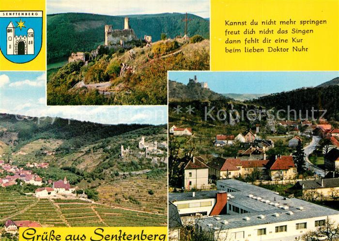 Senftenberg Niederoesterreich Ruine Heimkehrerdankkreuz Kirche Ruine Kremstal