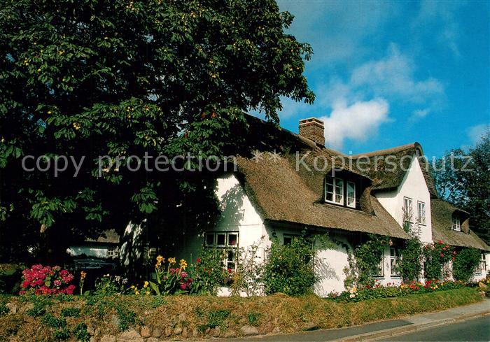 Keitum Sylt Friesenhaus
