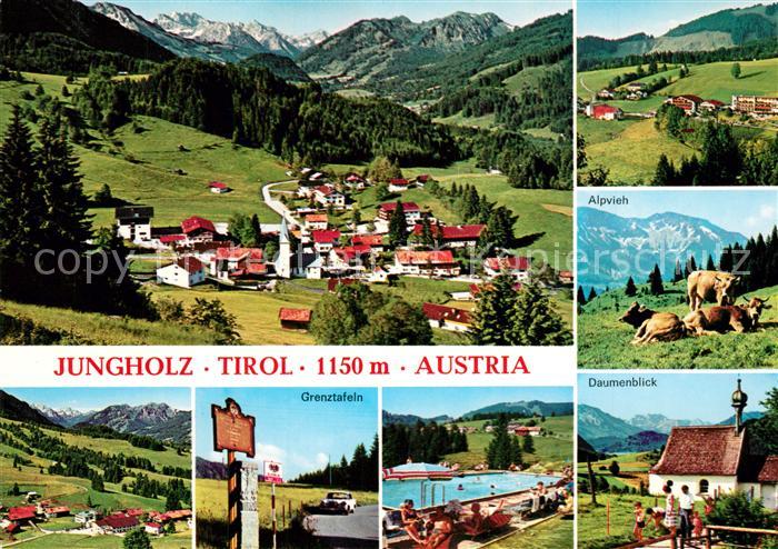 Jungholz Tirol Daumenblick Alpvieh Grenztafeln