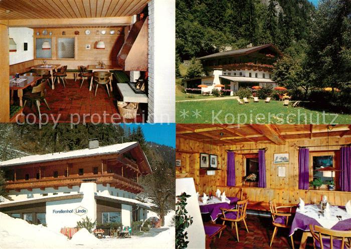 Mayrhofen Zillertal Gasthof Pension Forellenhof Linde