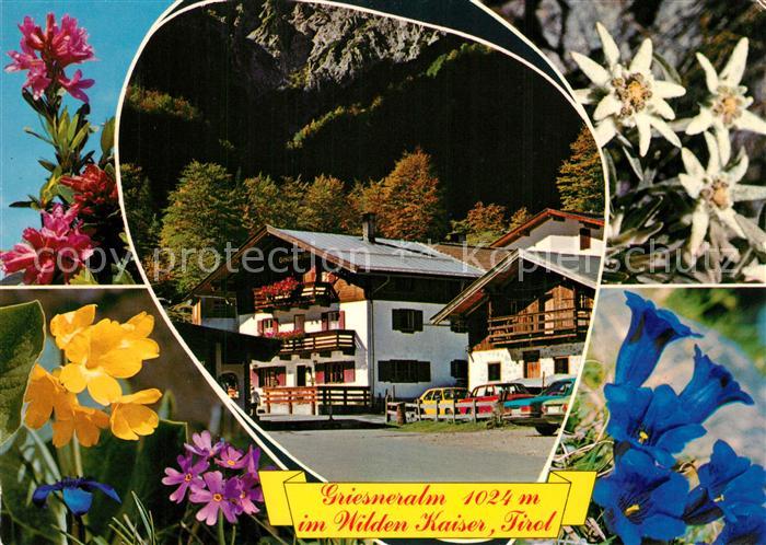 Kirchdorf Tirol Unterkunftshaus Griesneralm Alpenflora Naturschutzgebiet Wilder