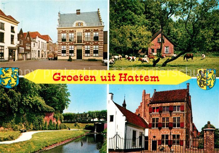 Hattem Zwolle Rathaus Kanal Bauernhaus Viehweide Altes Gebaeude