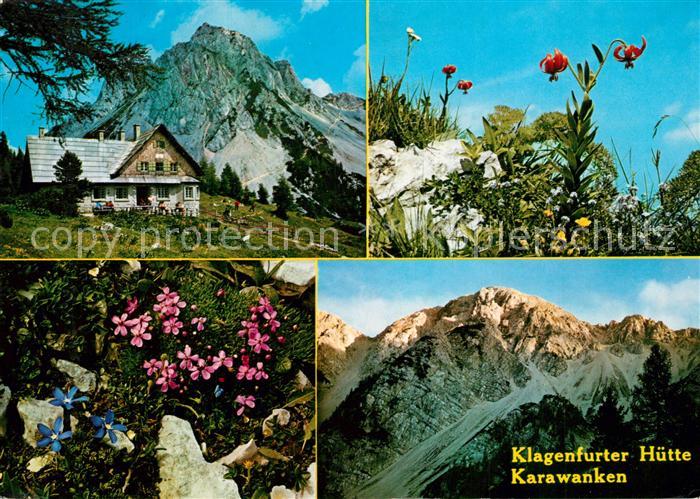 Klagenfurter Huette Berghuette Karawanken Alpenflora Krainer Lilie Gemsenheide E