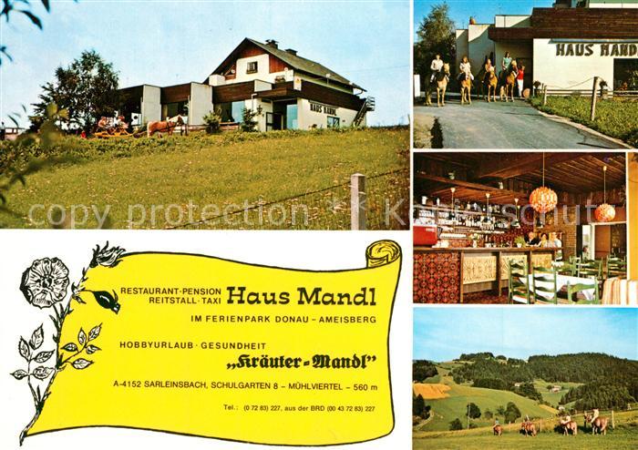 Sarleinsbach Pension Restaurant Haus Mandl Landschaftspanorama Ausritt
