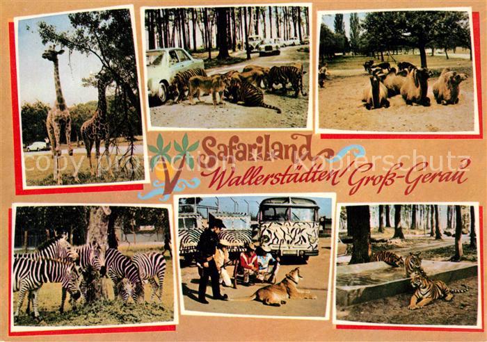 Gross-Gerau Safariland Wallerstaedten