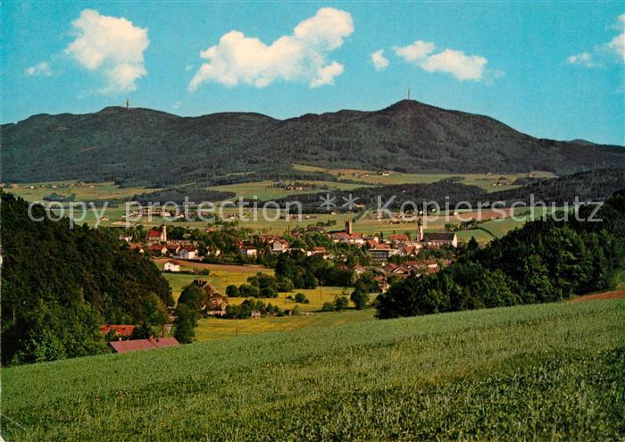 Furth Wald Panorama Blick zum Hohenbogen Bayerischer Wald