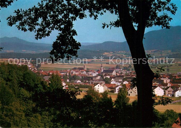 Furth Wald Panorama Blick zum Osser