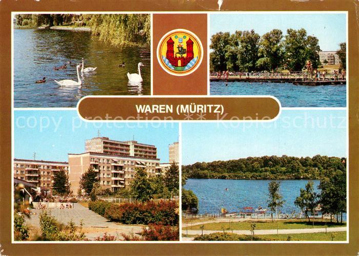 Waren Mueritz Park Schwimmbad Schwaene