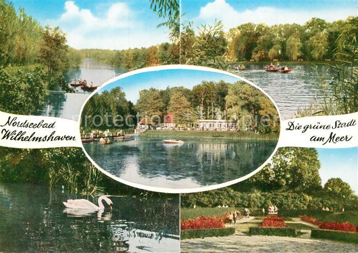 Wilhelmshaven Stadtpark Schwan