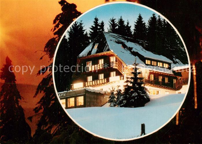 Hinterzarten Breisgau-Hochschwarzwald BW Hotel Sonnenhof Winter