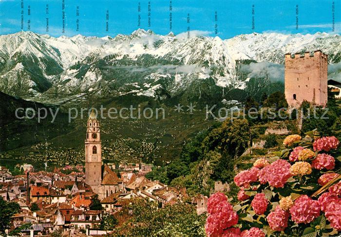 Merano Meran Panorama Texelgruppe