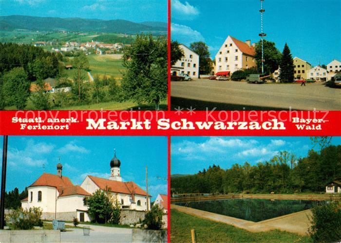 Markt Schwarzach Panorama Kloster Teich Ortsansicht