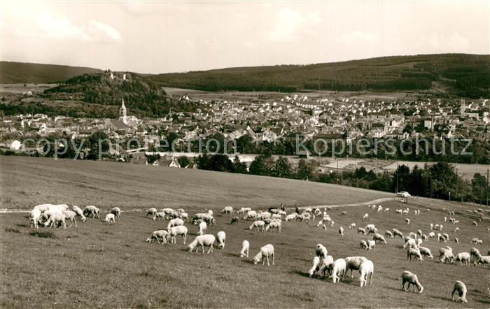 Tuttlingen Panorama Schafherde