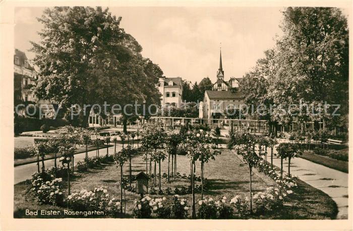 Bad Elster Rosengarten