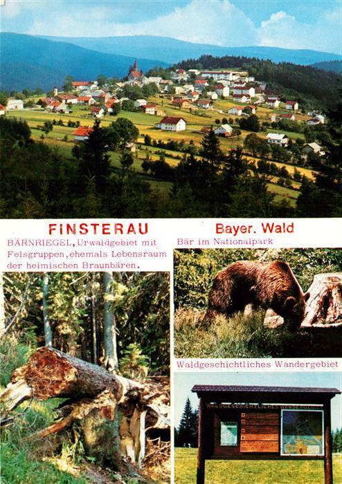 Finsterau Bayerischer Wald Baernriegel Urwaldgebiet mit Felsgruppen Braunbaer Hi