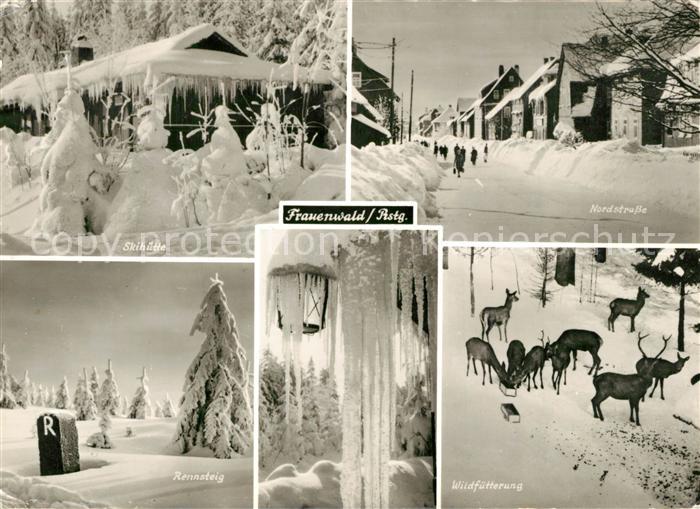 Frauenwald Thueringen Skihuette Nordstrasse Rennsteig Wildfuetterung