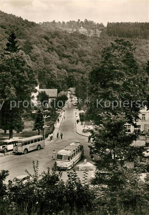 Treseburg Harz Blick zur Bodebruecke