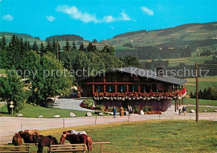 Hinterzarten Restaurant Skihuette Thoma Pferde Schwarzwald