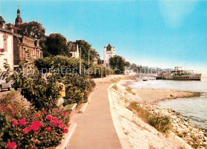 Eltville Rhein Rheinufer Promenade Bootsanleger Rheinfaehre