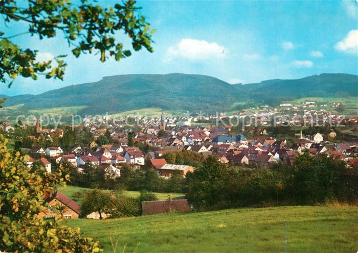 Fuerth Odenwald Stadtpanorama