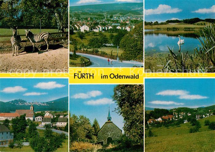 Fuerth Odenwald Tierpark Zebras Teich Schwan Kirche Landschaftspanorama