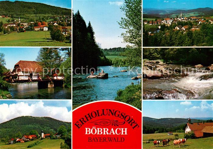 Boebrach Panorama Holzbruecke Partie am Fluss Bauernhaus Viehweide Kuehe