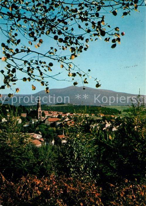 Zwieselberg Bayern Panorama Waldstadt