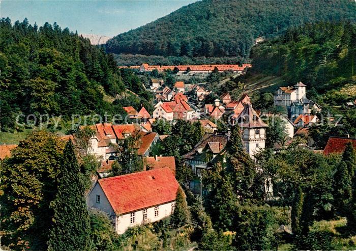 Bad Grund Panorama