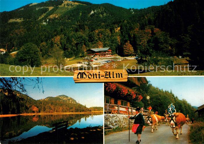 Rottach-Egern Gasthaus Cafe Moni Alm Landschaftspanorama Uferpartie am See Almab