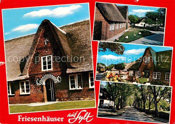 Insel Sylt Friesenhaeuser Baumallee