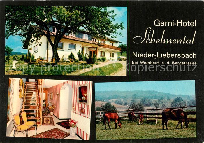 Nieder-Liebersbach Garni Hotel Schelmental Pferdekoppel