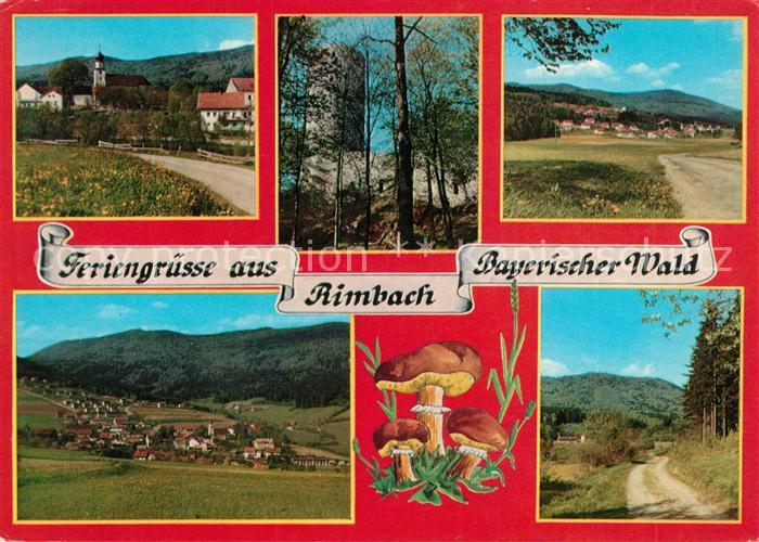 Rimbach Bayrischer Wald Burgruine Lichtenegg Panoramen Maronen