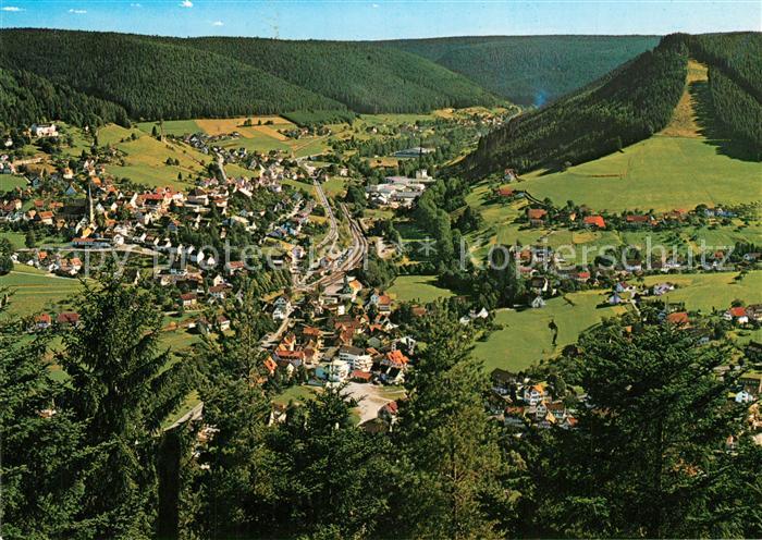 Baiersbronn Schwarzwald Fliegeraufnahme